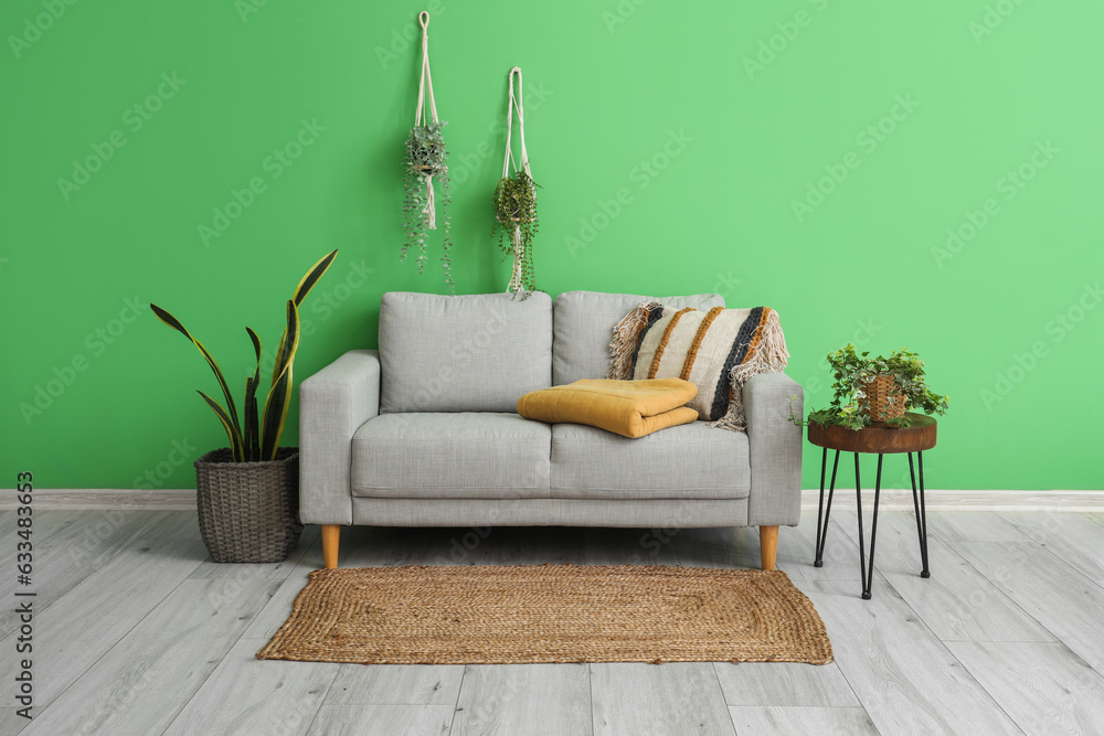 Interior of living room with folded plaid on sofa and houseplants