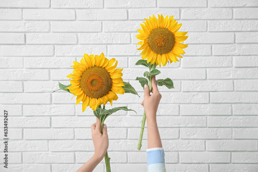 Female hands with beautiful sunflowers on light brick background