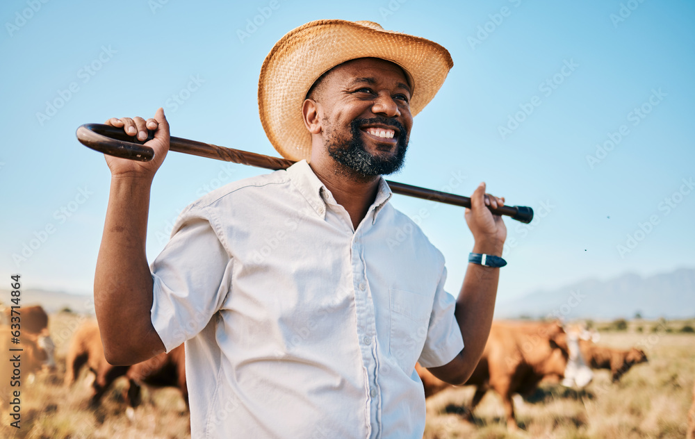 Cows, thinking or happy black man on farm agriculture for livestock, sustainability and agro busines