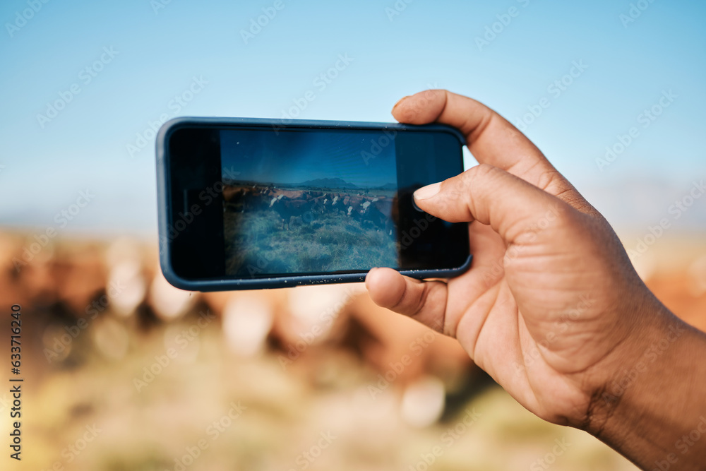 Person, hands and phone in photography, farming or animals for sustainability or natural agriculture