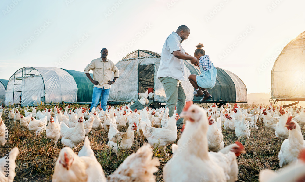 Chicken, farming and family swing with birds outdoor for sustainability and fun with kid. Dad, child