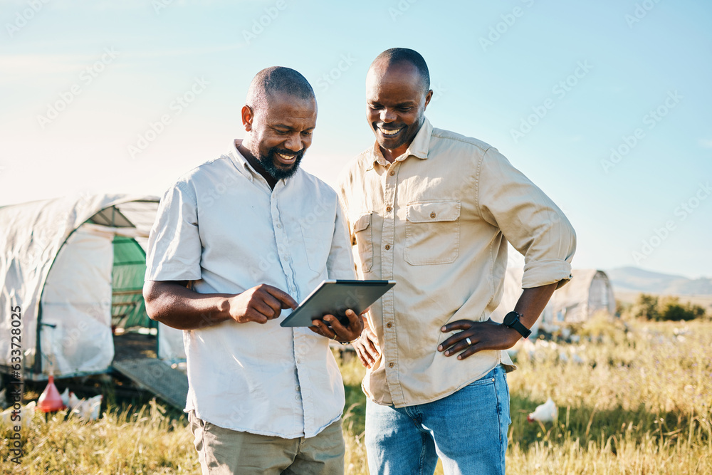 Black people, tablet and farm with chicken in agriculture together, live stock and outdoor crops. Ha