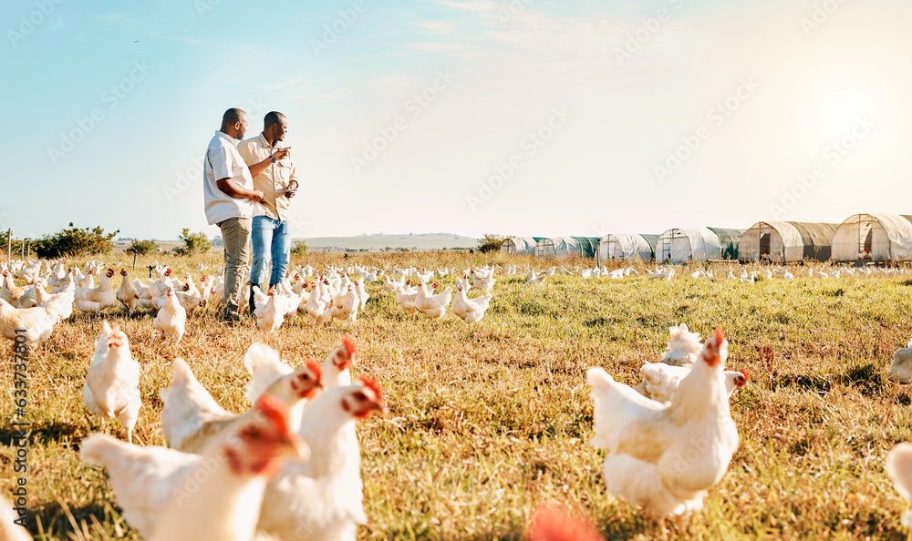 Black people, clipboard and farm with chicken pointing to barn in agriculture together for live stoc