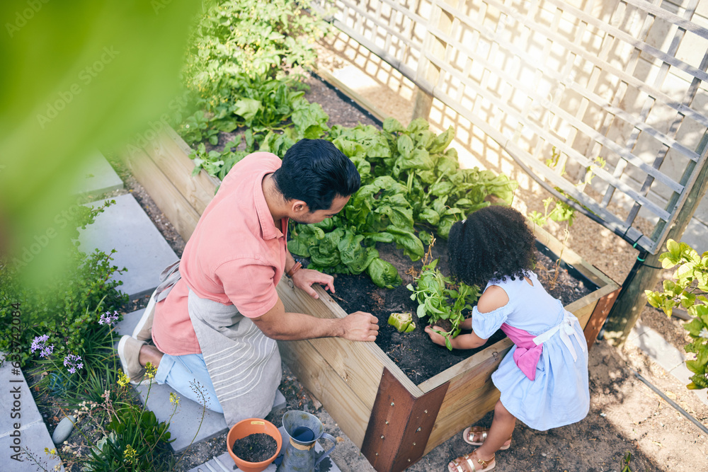 Gardening, father and child with plants from above, teaching and learning with growth in nature. Sma