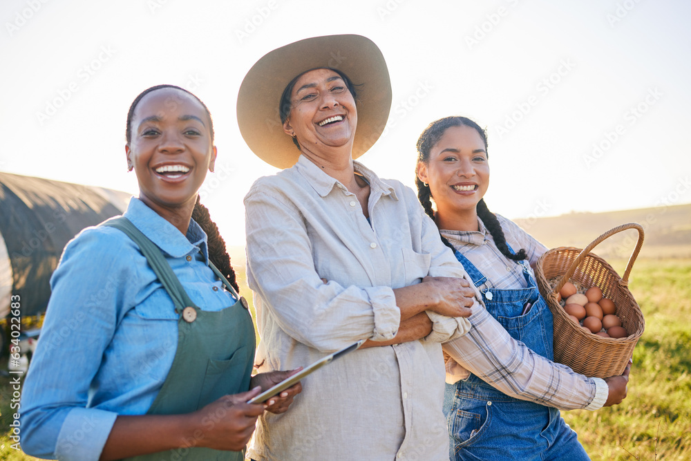 Chicken farm, women portrait and happy with farmer web management and egg collect. Agriculture, dive