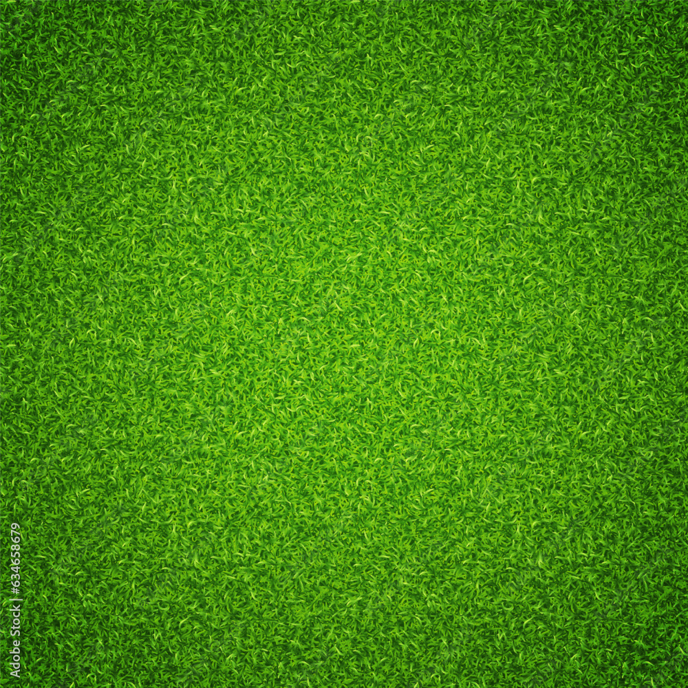 Lawn grass texture background. Vector