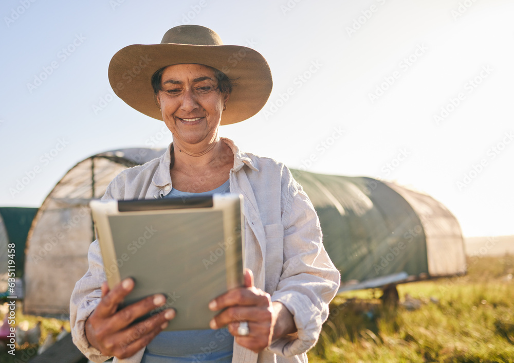 Farm, chicken and woman on tablet in field, countryside and nature for internet, research and growth