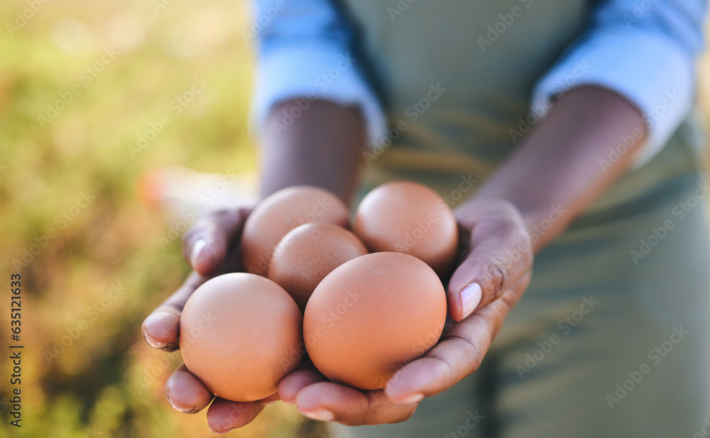 Eggs, farmer and hands in agriculture on sustainable farm or free range product for protein diet in 