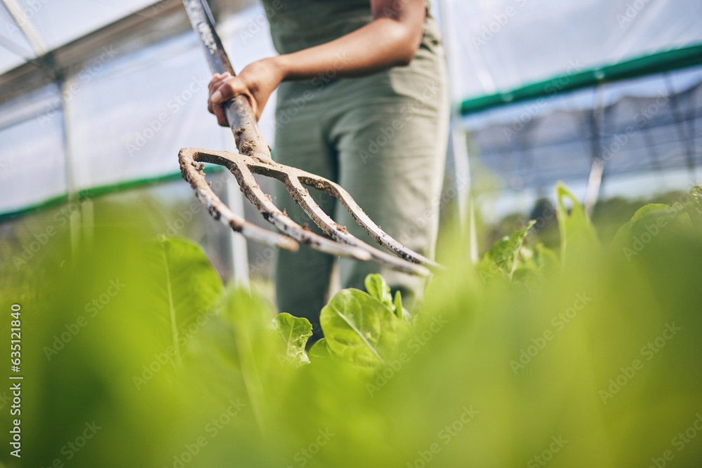 Pitchfork, farming and plants for ground, soil or working dirt for growth, irrigation or development