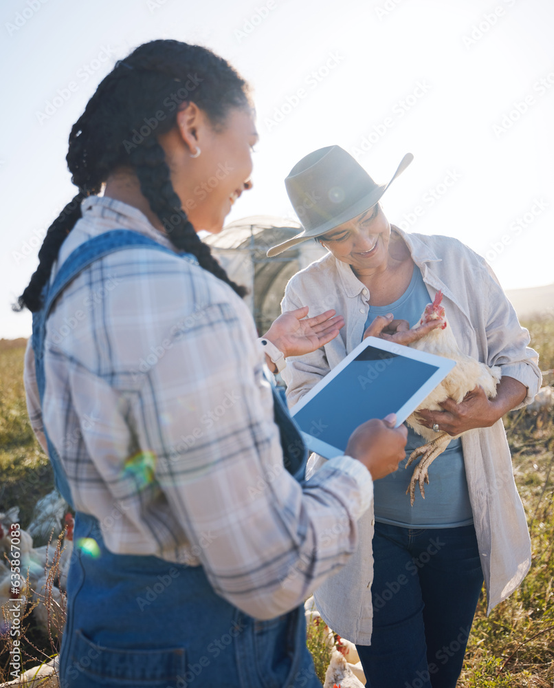 Chicken, agriculture and women farmers with tablet for live stock business research in countryside. 