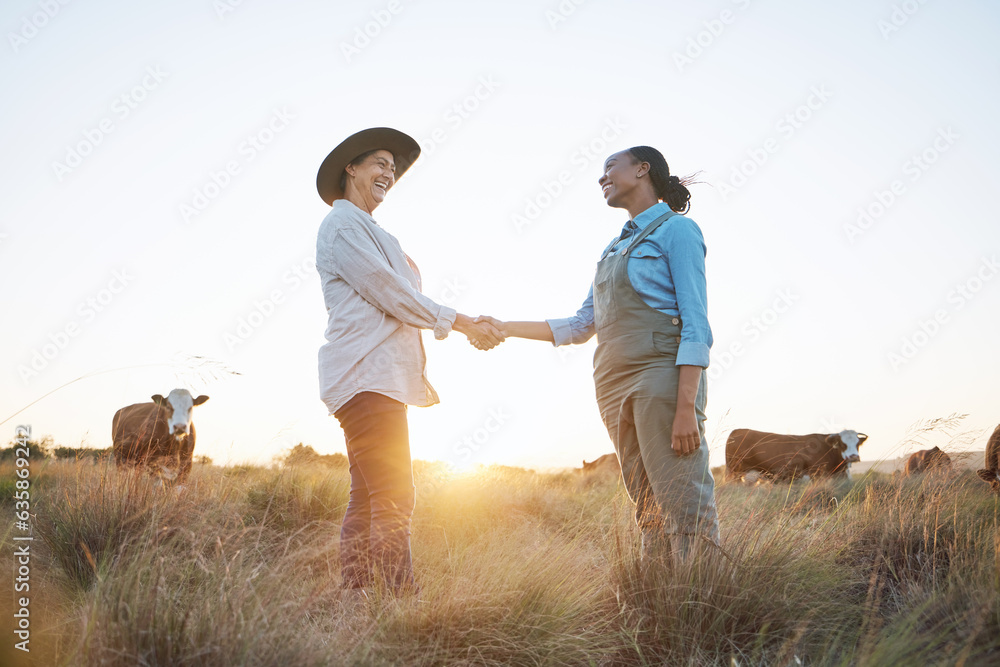 Farm, handshake and women with b2b sale, deal or agreement for small business partnership. Agro, tha