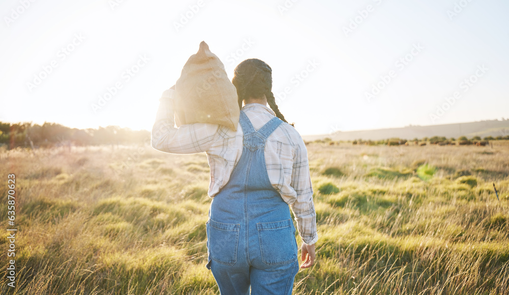 Walking, sack or farmer farming on grass field harvesting production in small business to trade. Bac