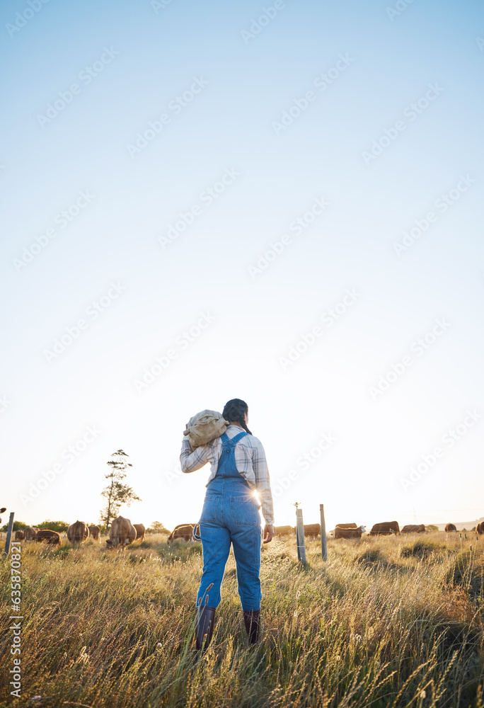 Walking, bag or farmer farming cattle in grass field harvesting production in small business to trad