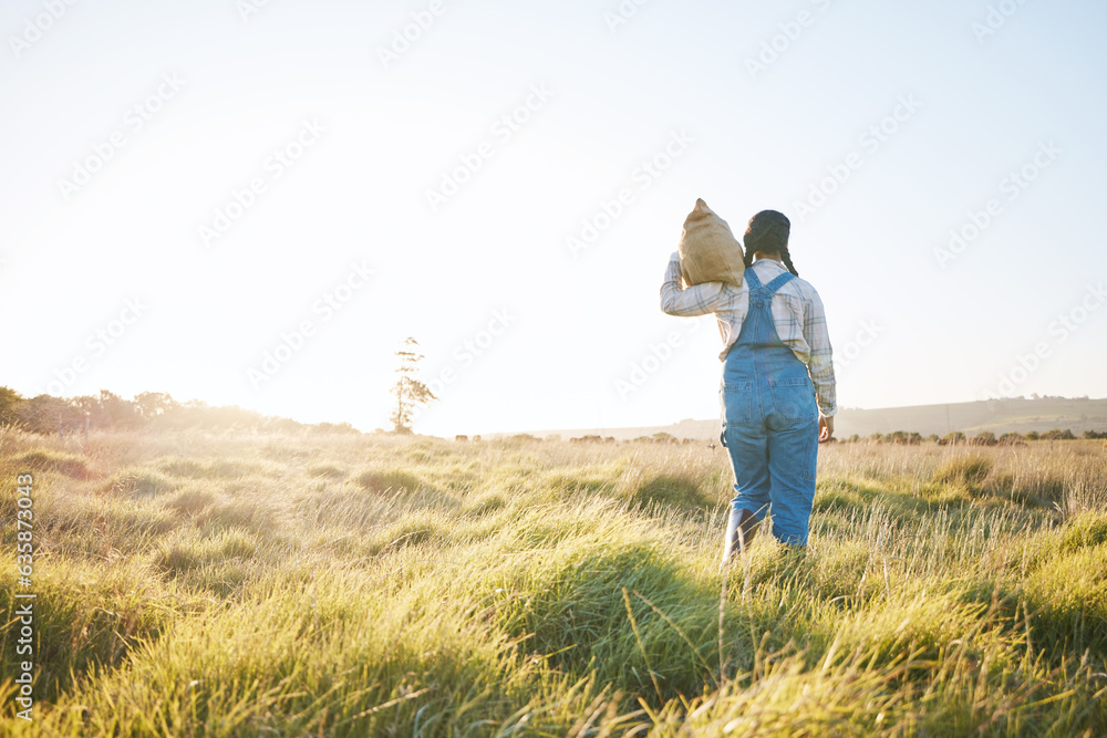 Walking, bag or farmer farming in nature harvesting production in small business to trade. Back, moc