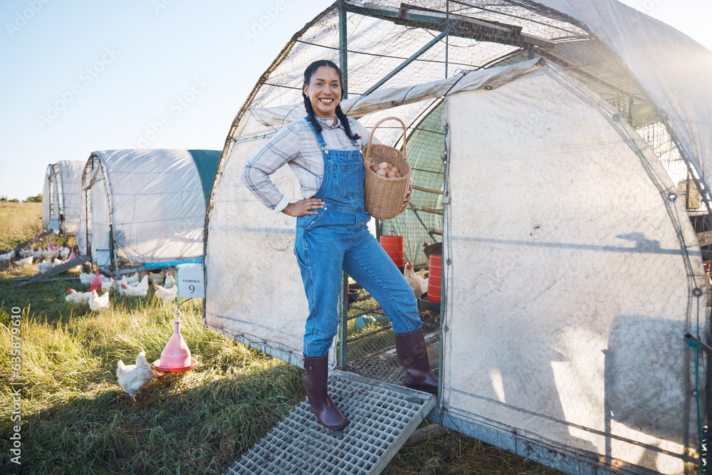 Chicken farming, smile and woman with eggs in basket, coop and sunshine in countryside greenhouse wi