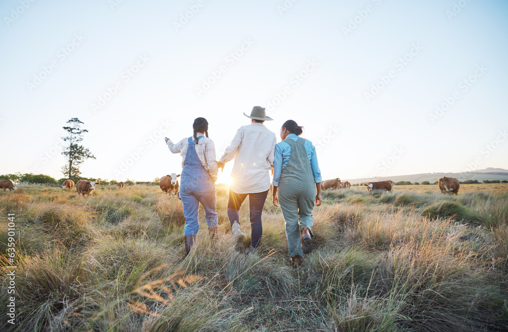 Sunrise, agriculture and women on farm with cow for inspection, livestock health or ecology. Agro bu