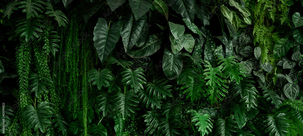 Group background of dark green tropical leaves ( monstera, palm, coconut leaf, fern, palm leaf,banan