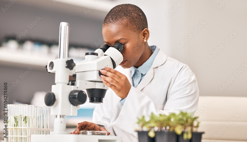 Science, woman and plants, microscope or laboratory research for agriculture, sustainability and lea