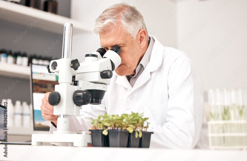 Man, science and microscope in laboratory for plants research, agriculture analysis and growth or su