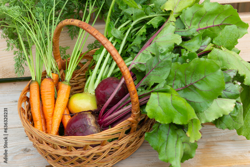 basket with fresh organic vegetables on the bench