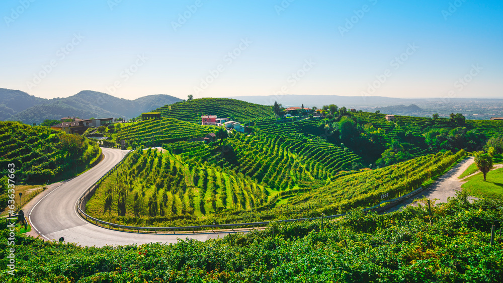 Vineyards and a road in the Prosecco Hills. Valdobbiadene, Veneto, Italy