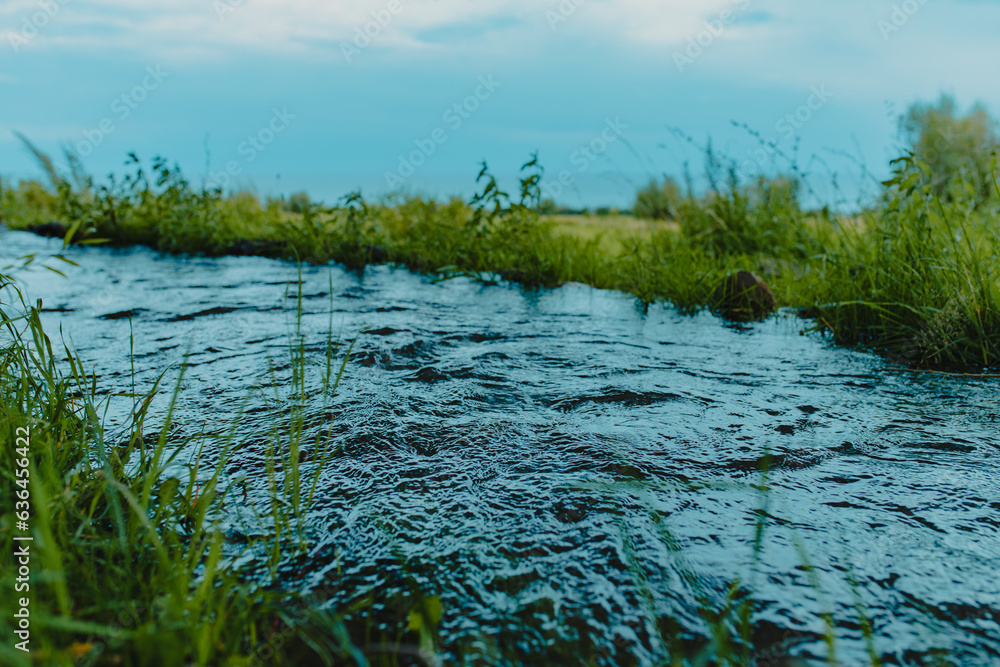 Landscape with stream on field at summer day