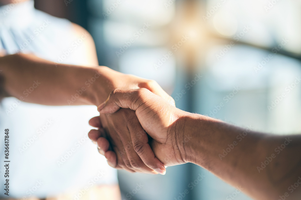 Handshake, introduction and hands of people meeting for partnership or agreement together as a team 