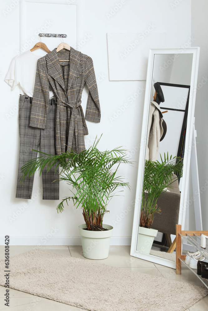 Interior of light hallway with mirror, hook rack and houseplant