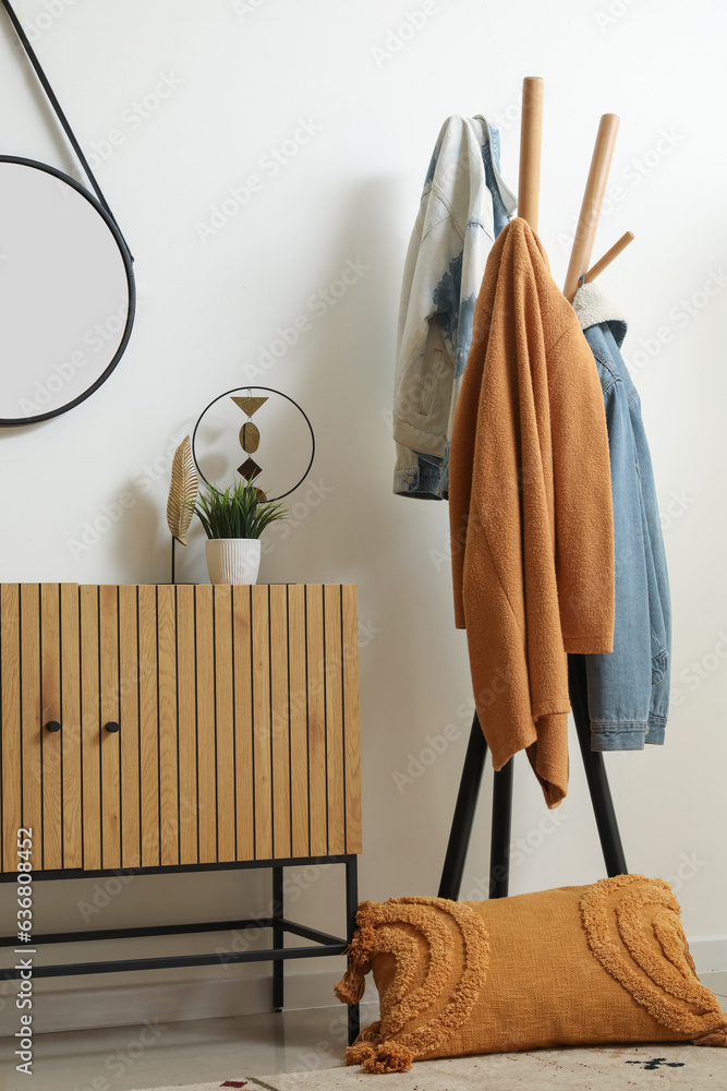 Interior of stylish hallway with mirror, wooden cabinet and rack