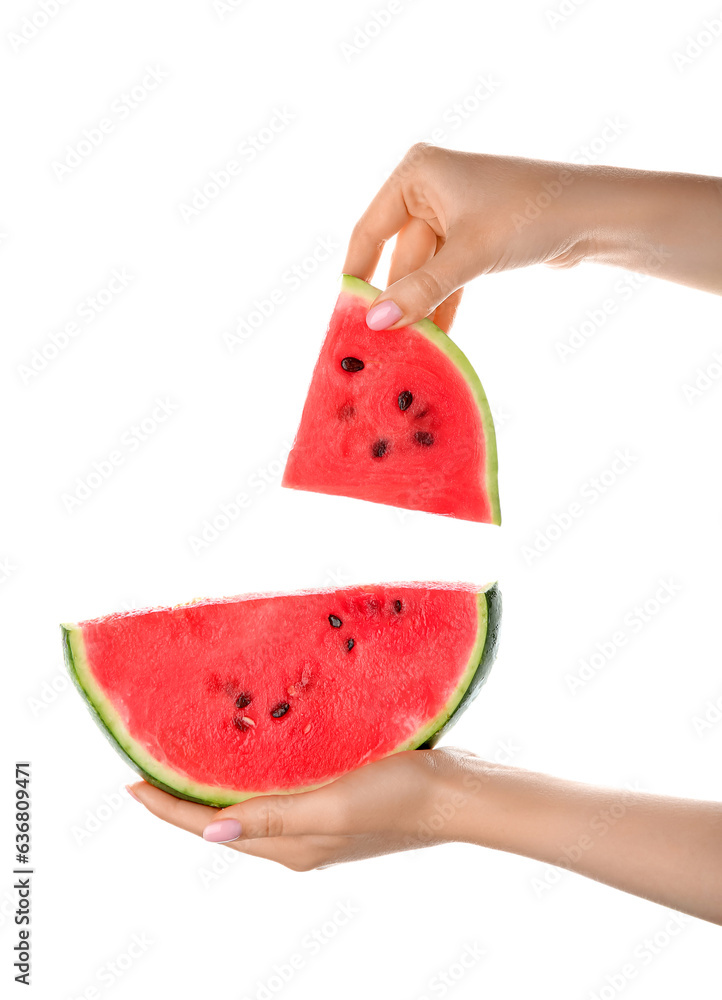 Female hands with pieces of ripe watermelon on white background