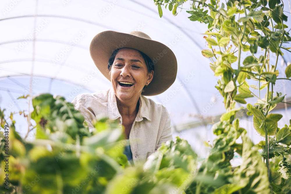 Mature woman, agriculture and greenhouse with plants, wow and smile, harvest and vegetable farming. 