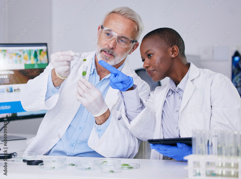 Scientist, science team with test tube and plant, black woman and senior man with medical research i