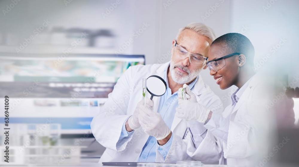 Scientist, science and people, magnifying glass and plant in test tube, black woman and senior man w