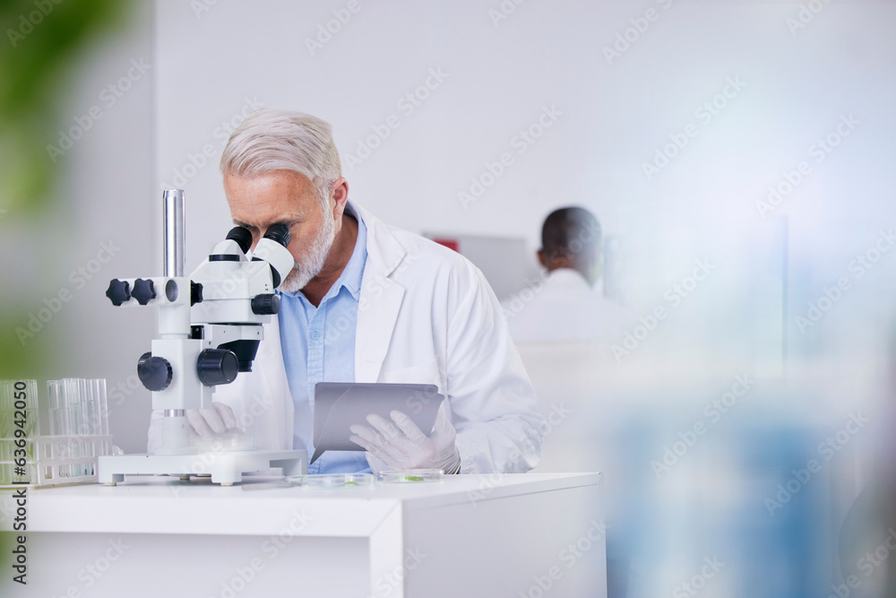 Science, laboratory and man with microscope, tablet and research with plants, botany or sustainable 