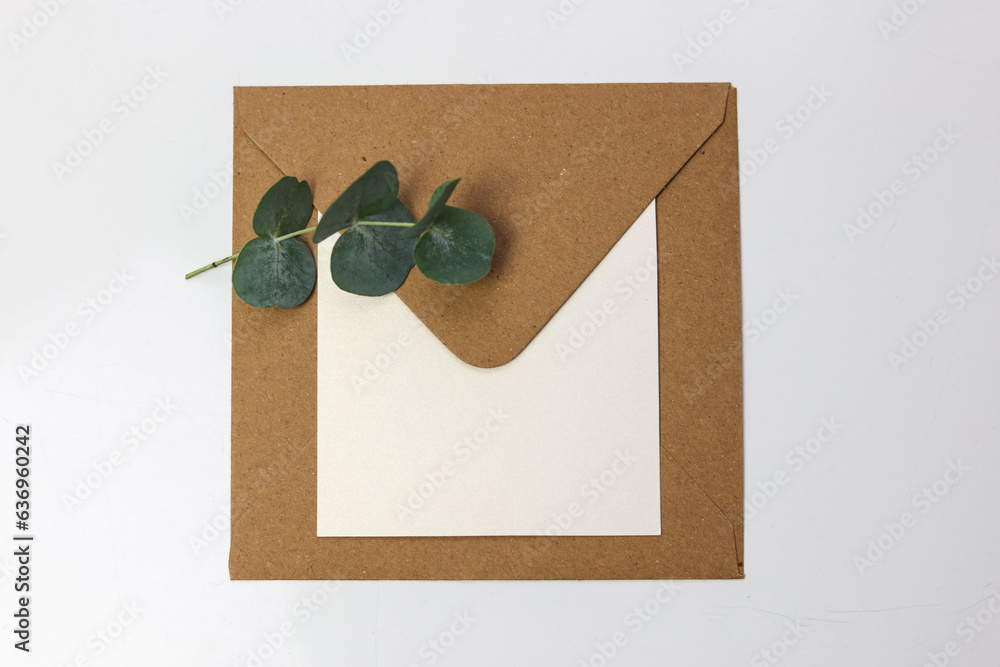 a brown envelope with a blank note card and green leaves on a white backgroun