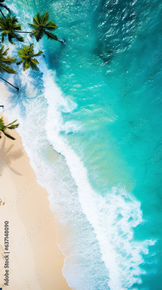 Aerial top view on sand ocean beach with palm trees. Summer vacation paradise concept. Vertical. Gen