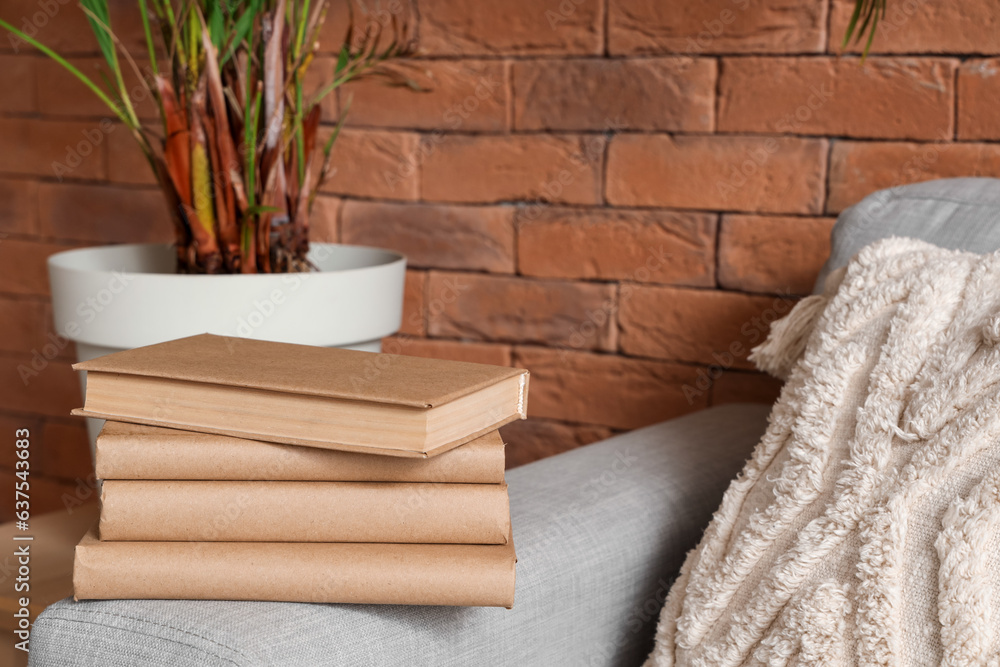 Stack of books on sofa in living room