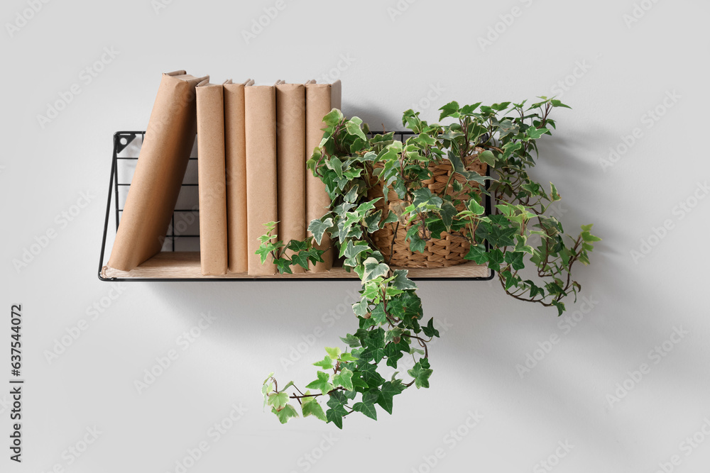 Shelf with books and plant on light wall