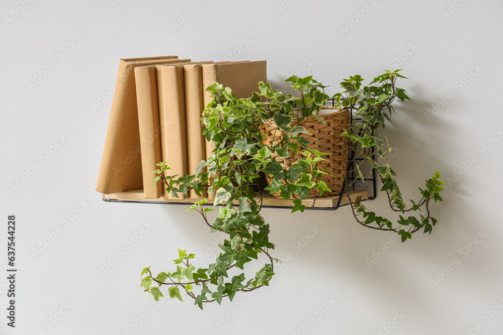 Shelf with books and plant on light wall