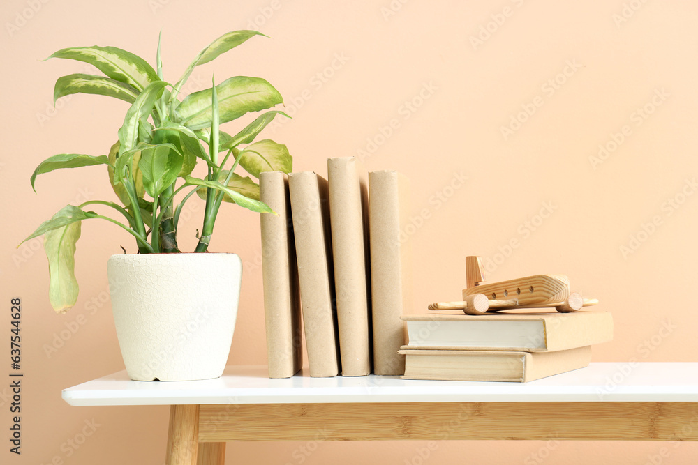 Books with wooden airplane and houseplant on table near beige wall