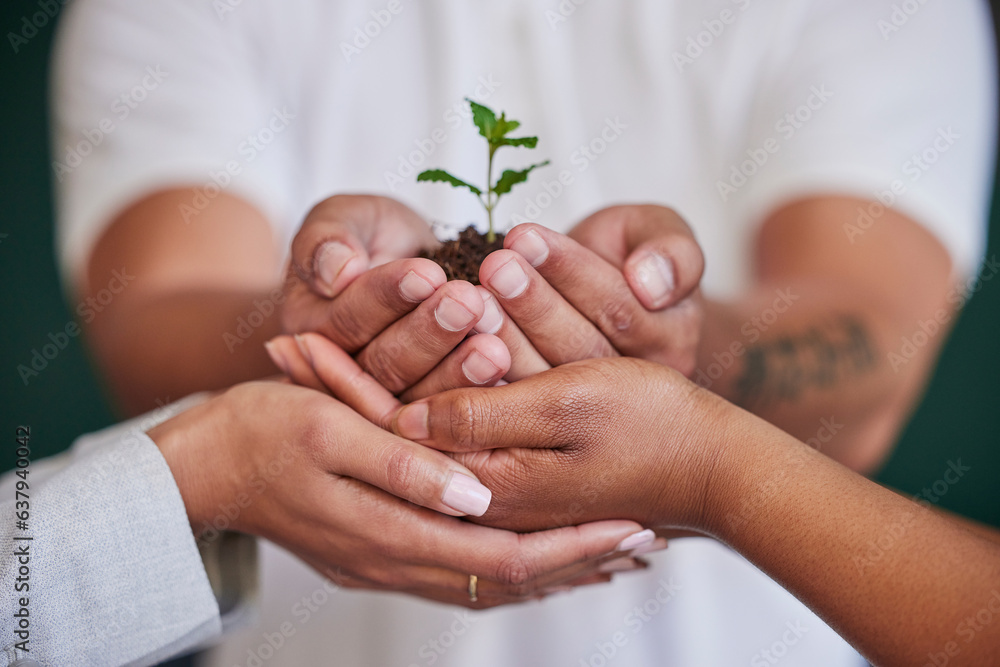 Nature, plant and hands of business people support new tree life, green leaf grow or agriculture pro