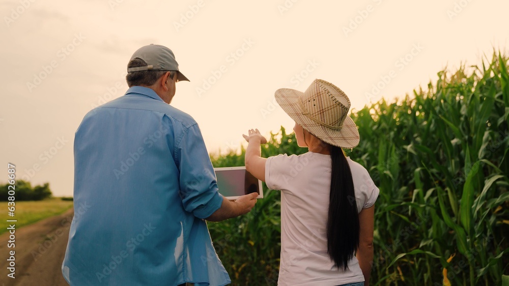 Two farmers with digital tablet inspect corn field, harvest. Digital technologies in agriculture. Bu