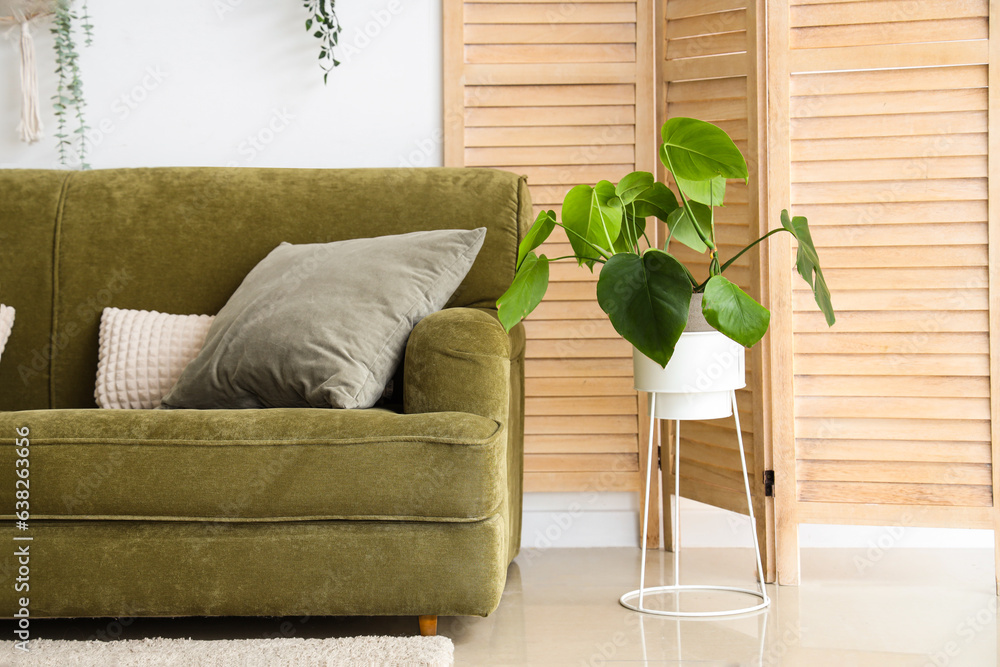 Interior of light living room with green sofa and palm leaves