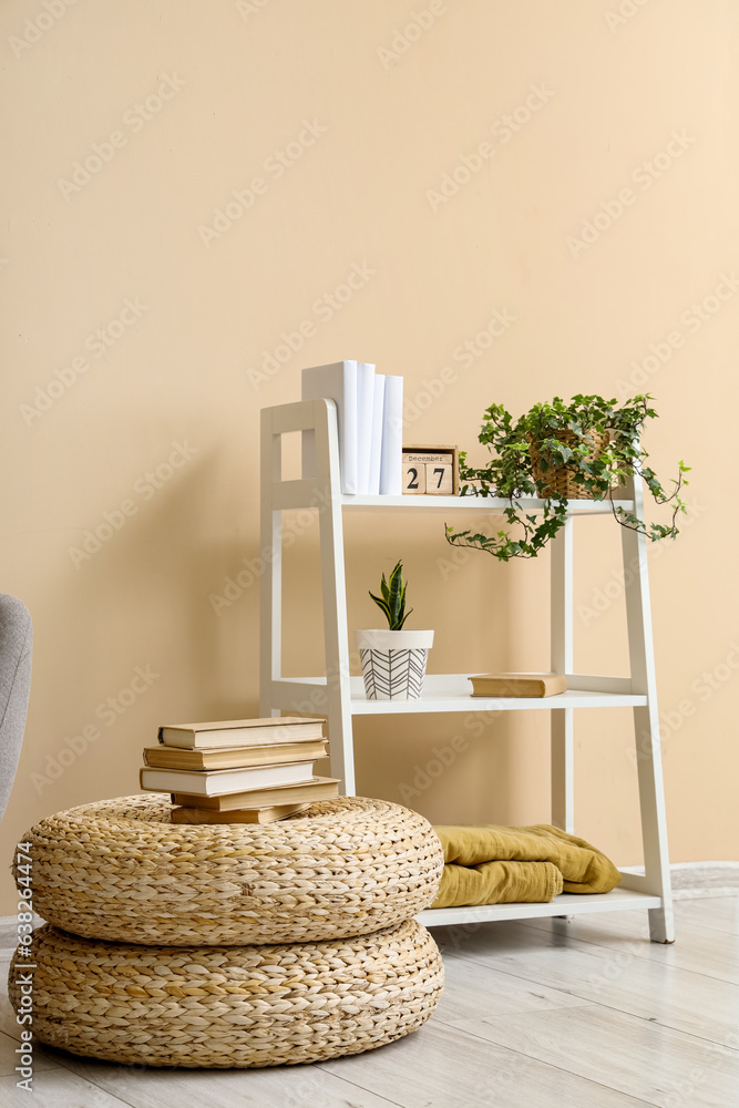 Interior of living room with bookshelf and poufs