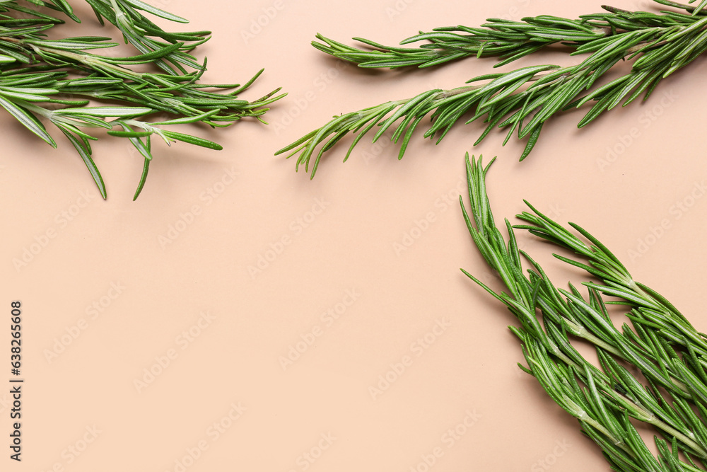 Twigs of fresh rosemary on color background