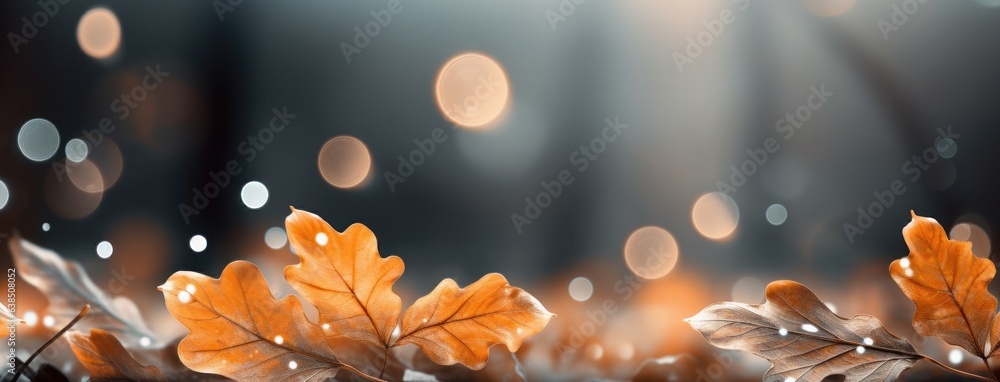 Autumn leaves background