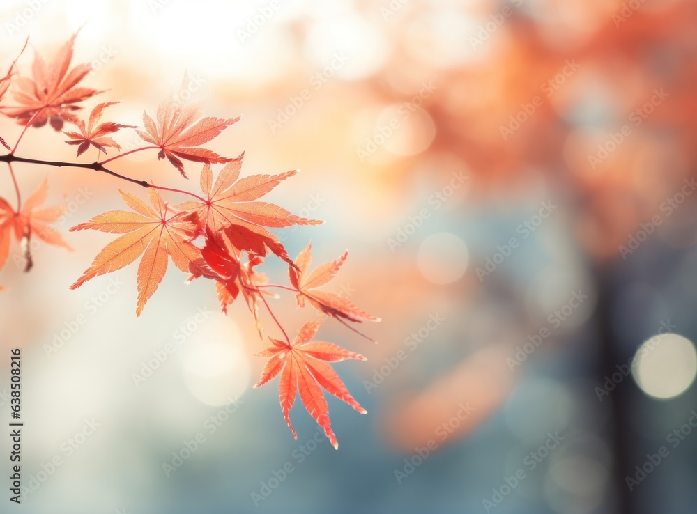 Autumn leaves background