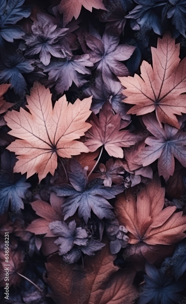 A dark background with many leaves in the foreground