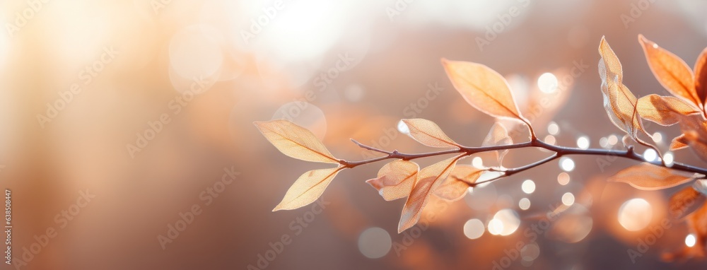 Autumn leaves background