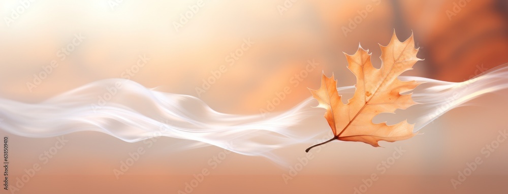 Autumn leaves background